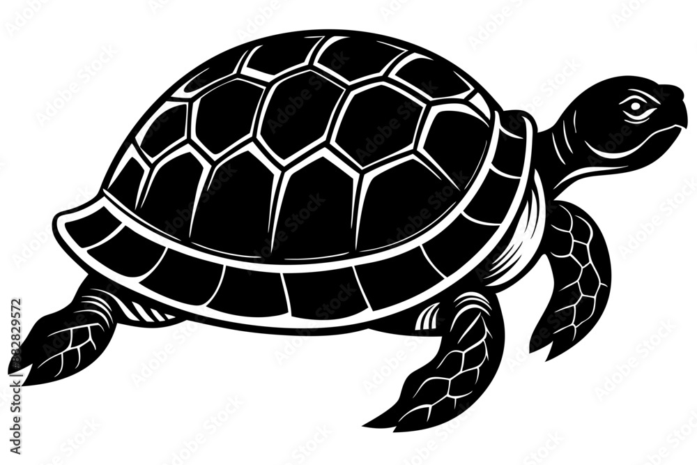 Turtle marine animal icon. Sea turtle silhouette. vector illustration
Turtle marine animal icon. Sea turtle silhouette. vector illustration