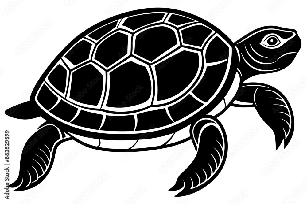Turtle marine animal icon. Sea turtle silhouette. vector illustration
Turtle marine animal icon. Sea turtle silhouette. vector illustration