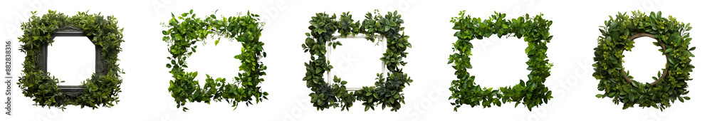 Set of tropical leaf frames. Isolated on a transparent background. Set of tropical leaf frames. Isolated on a transparent background.