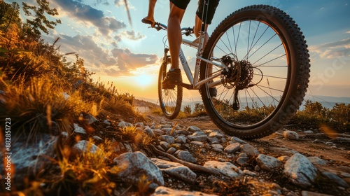 Wallpaper Mural Popular view, A view of the bicycle wheel hitting rocks along the way as the cyclist rides through a challenging mountain trail, with beautiful scenery all around. Torontodigital.ca