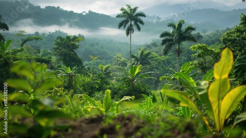 Wallpaper Mural A lush, newly planted forest with diverse tree species, vibrant colors, and a serene atmosphere, showcasing afforestation efforts.  Torontodigital.ca