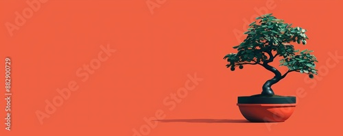 Bonsai tree, miniature potted plant, flat design illustration photo