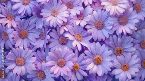 Close-Up of a Delicate Purple Daisy Bouquet