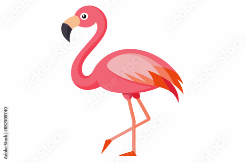 Pink flamingo on a white background