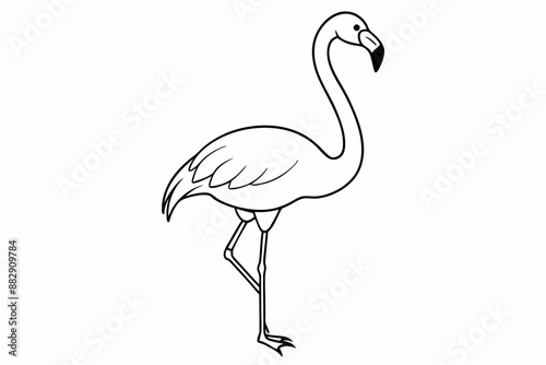 flamingo line art vector, tropical bird flamingo line drawing	