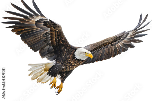 Majestic eagle in flight isolated on transparent background photo