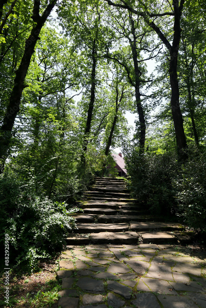 Wooden house in the forest. Stone road to a house in the forest.