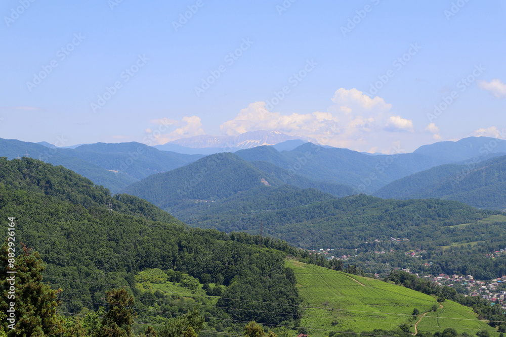Obraz premium Mountains and forest. Panorama with mountain views.