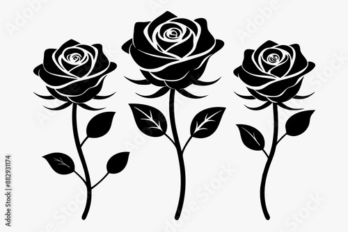 rose flowers silhouettes Vector set, set of decorative rose with leaves	
