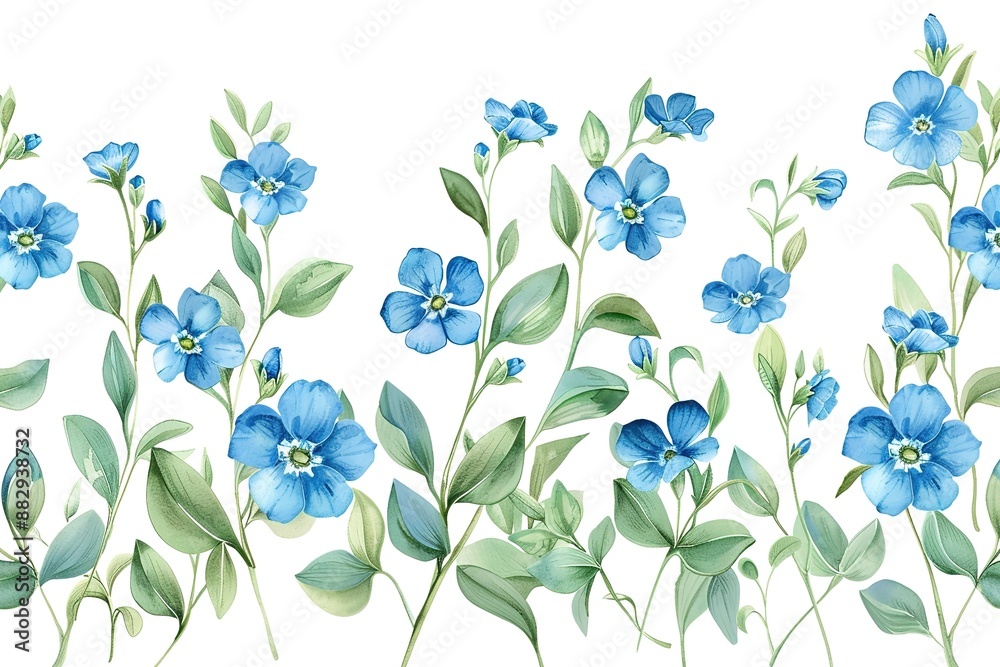 Fototapeta premium Blue pansy flowers on a white background. 