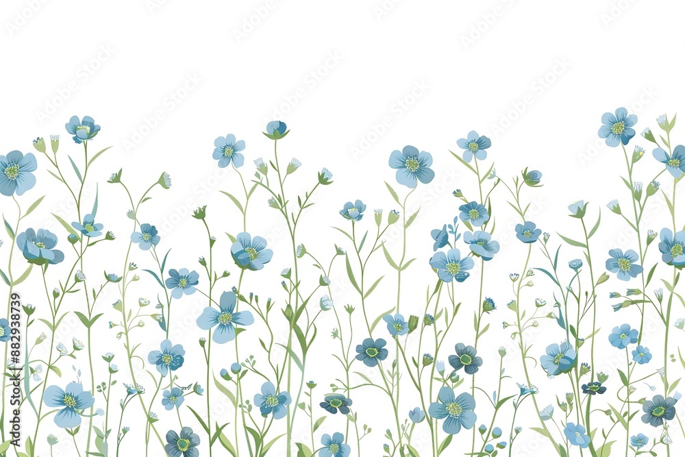 Blue pansy flowers on a white background. Blue pansy flowers on a white background.