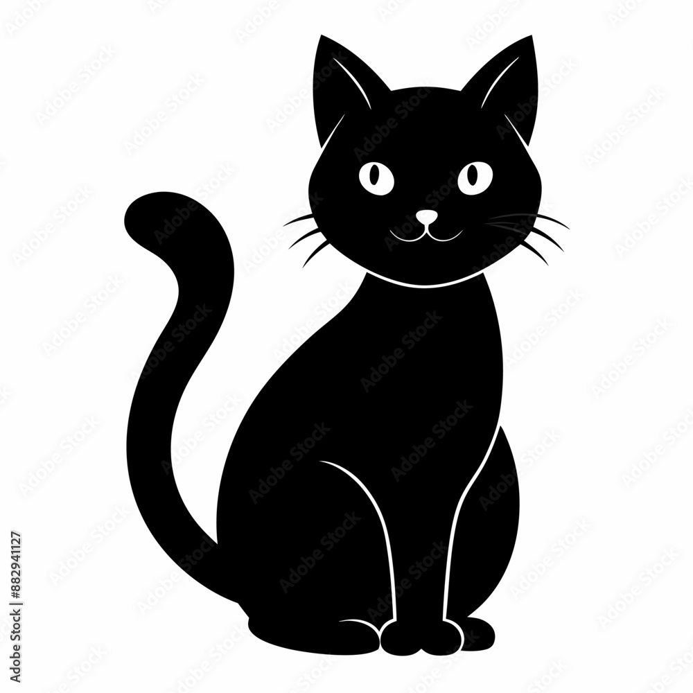 black and white cats black and white cats
