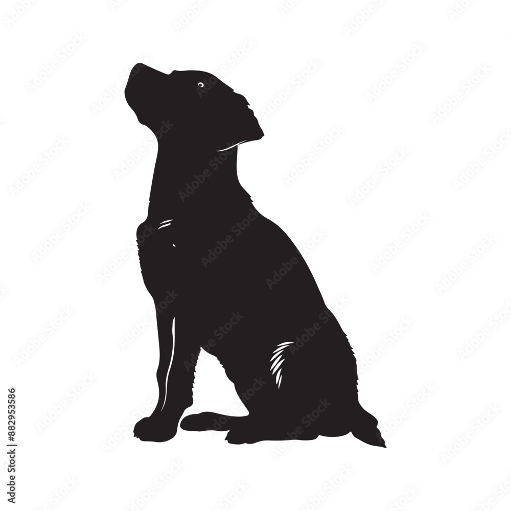 Dog silhouette. Vector silhouette of dog on white background. black dog isolated on white background. cutout dog. hand drawn design. vector illustration. Dog silhouette. Vector silhouette of dog on white background. black dog isolated on white background. cutout dog. hand drawn design. vector illustration.