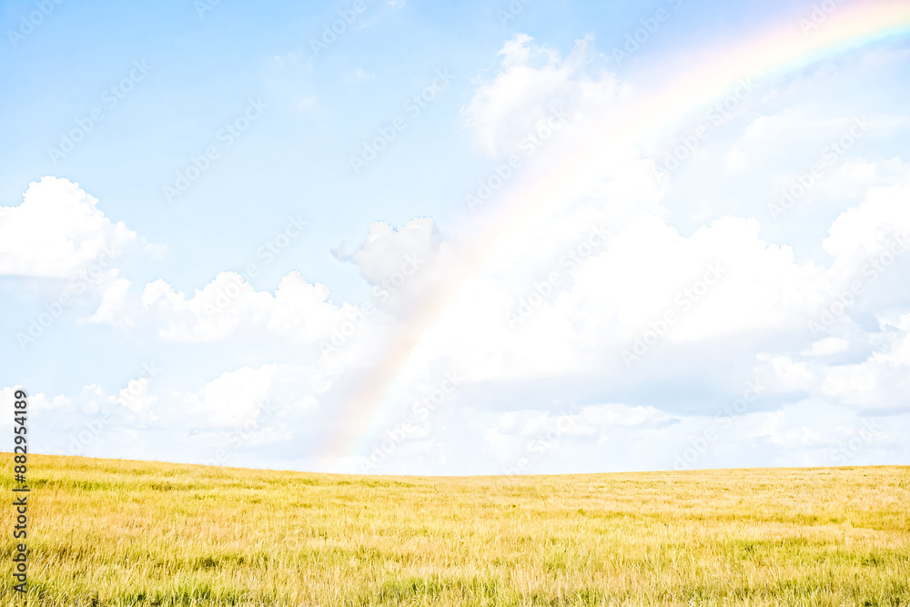Field of Wheat with Rainbow in the Sky Field of Wheat with Rainbow in the Sky