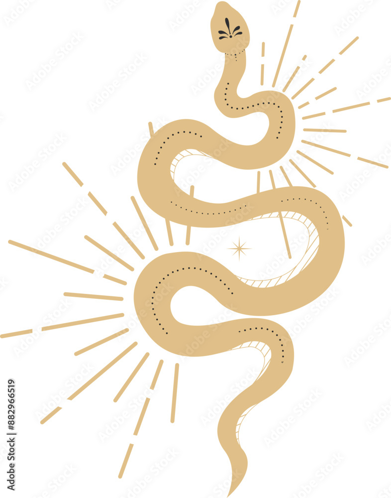 Fototapeta premium Celestial serpent snake, esoteric tarot or tattoo mystery sacred symbol