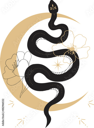 Celestial serpent snake, esoteric tarot or tattoo mystery sacred symbol 