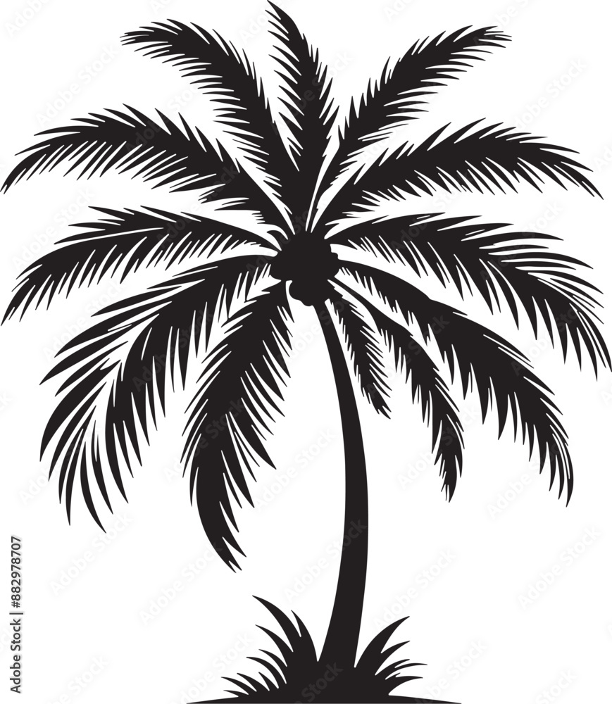 Palm tree silhouette vector illustration design Palm tree silhouette vector illustration design