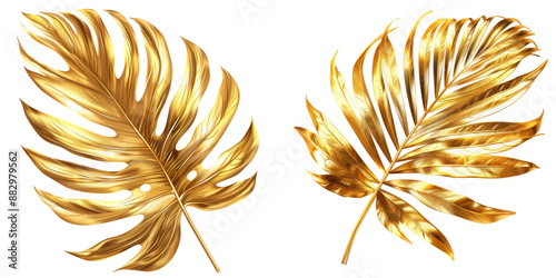 Golden Tropical Palm Leaf Clipart Illustration Set Isolated on Transparent or White Background, PNG
