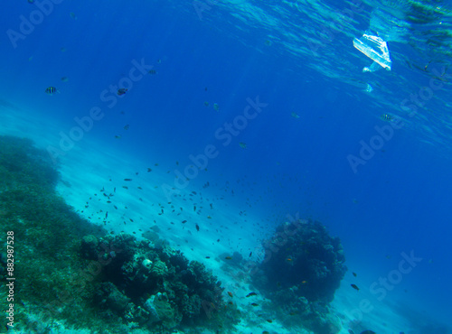 on the Sinai Peninsula, on the beach, a plastic bag floats in the Red Sea, neglect of nature, danger to sea inhabitants