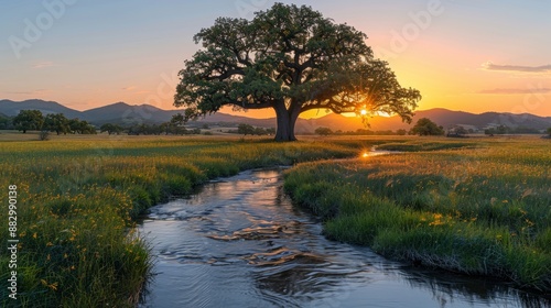 Majestic oak tree by stream at sunset - generative ai