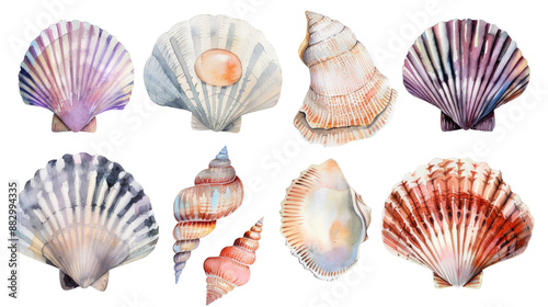 A set of seven shells, each with a different pattern and color