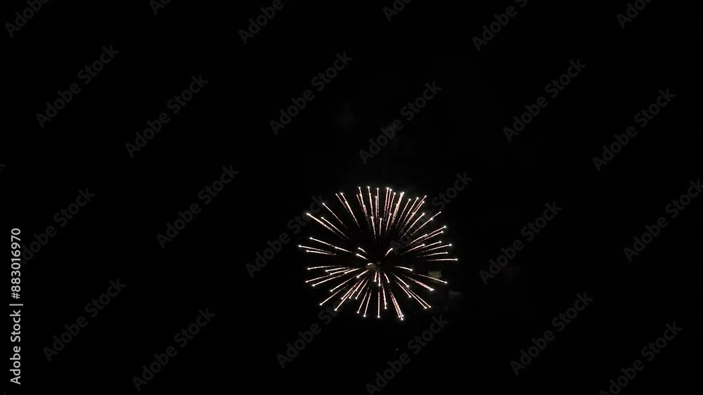 fireworks in the night sky fireworks in the night sky