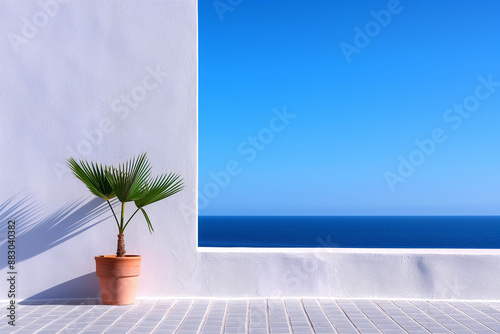 A minimalist potted palm casts a crisp shadow on a white wall with the ocean in the background. Clean Mediterranean-inspired design with serene natural tones. photo