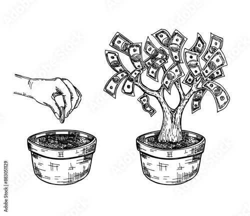 Money tree, money growth, investment. Hand putting a gold coin as a seed in a flower pot, dollar currency growing from a flower pot. Business investment, savings concept. Sketch