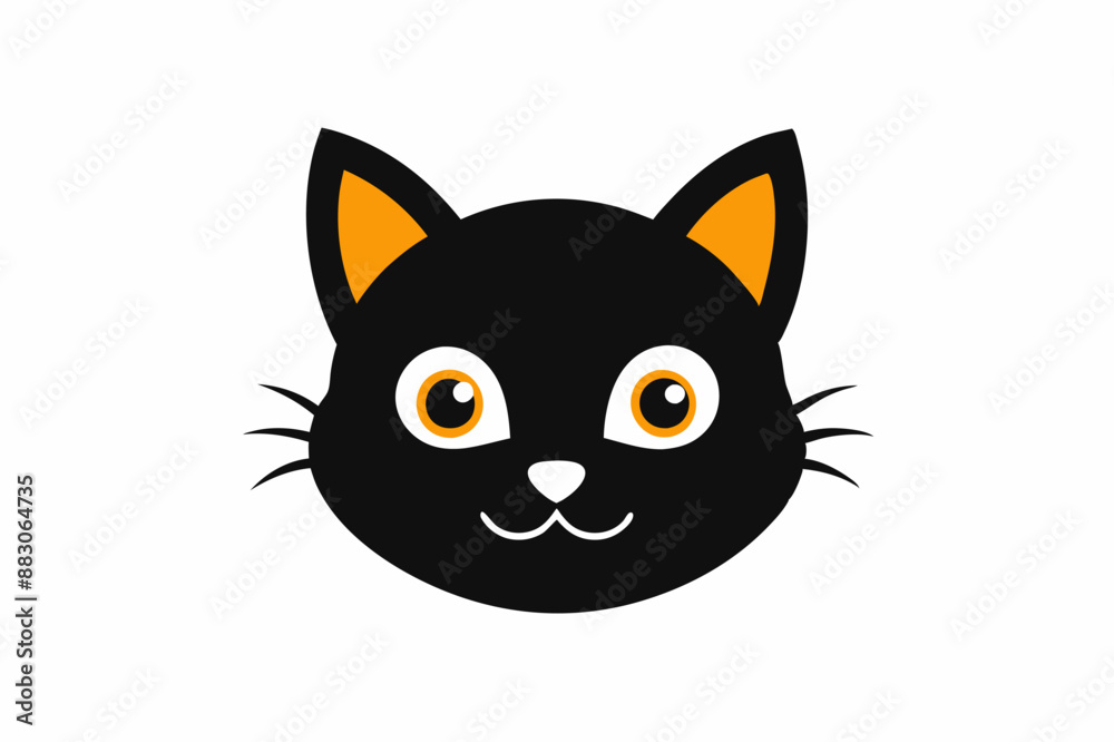 black and white cat black and white cat