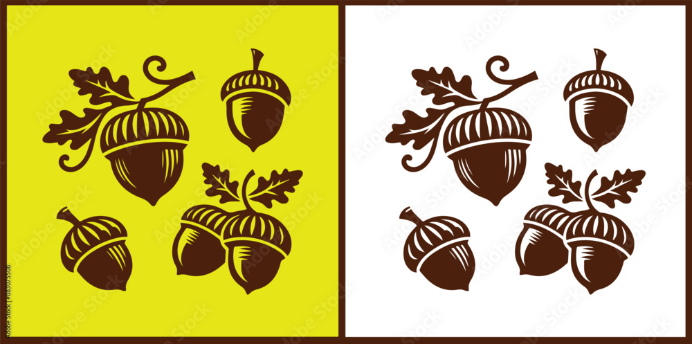 acorn icon set Oak nut Oak seed Oak apple collection Vector illustration acorn icon set Oak nut Oak seed Oak apple collection Vector illustration