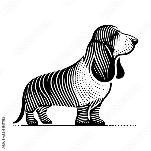 A black and white Basset Hound silhouette created using minimalistic dashed lines.  Minimalist art style. photo