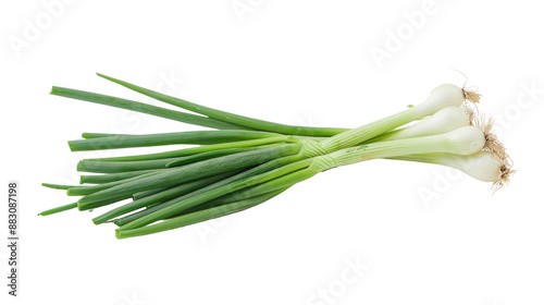 Spring onions on a transparent background photo