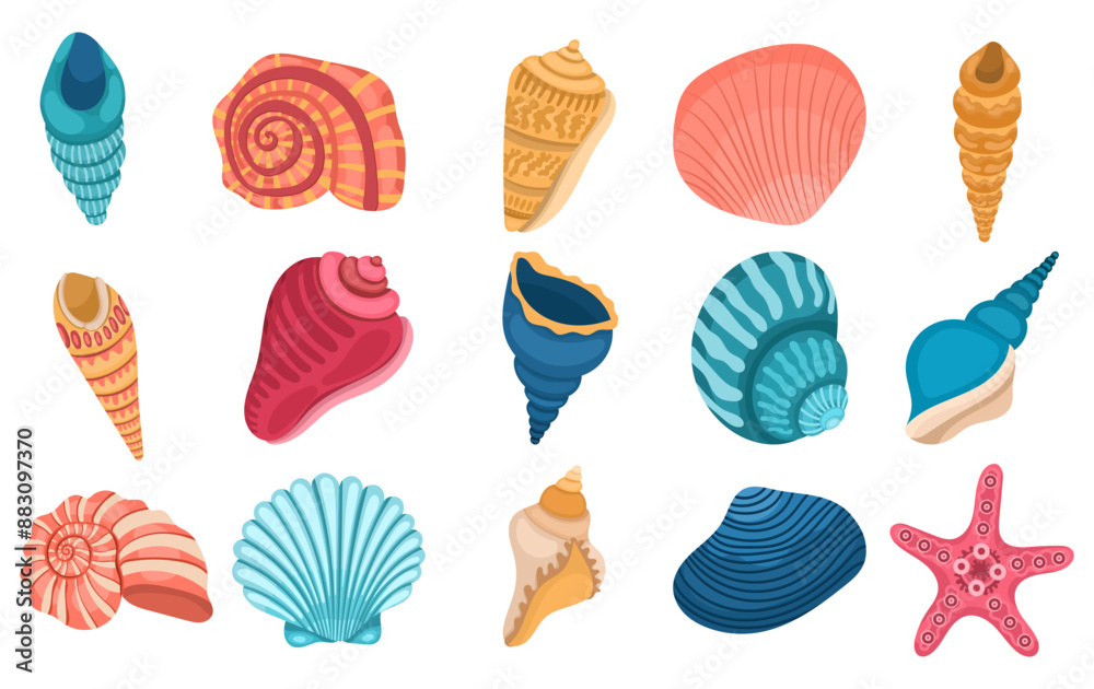 Large collection of different seashells on a white background Large collection of different seashells on a white background