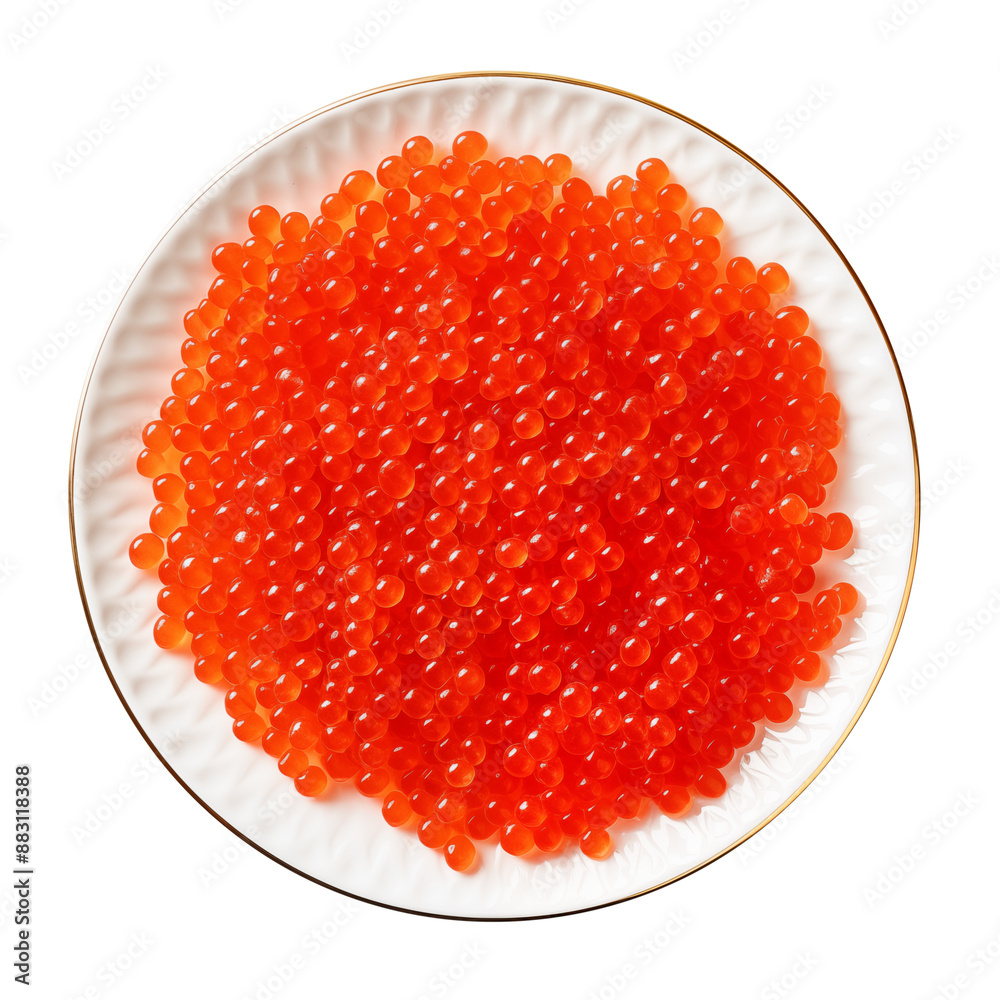 Transparent PNG Transparent PNG