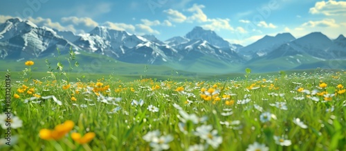 Scenic meadow with flowers and mountains in summer, Ai generate