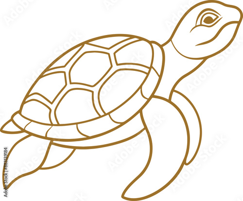 A simple coloring page drawing of a sea turtle with intricate patterns on its shell, such as circles