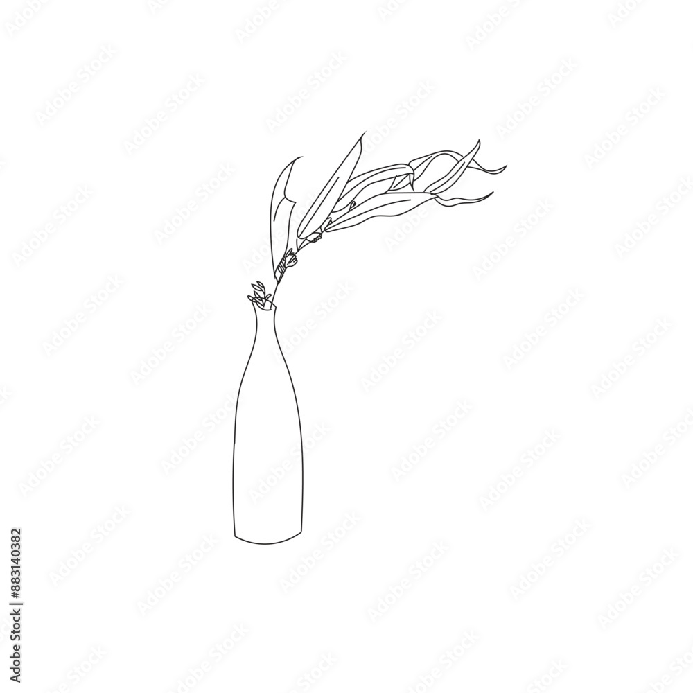 handwritten sketches of plant and vase drawings 