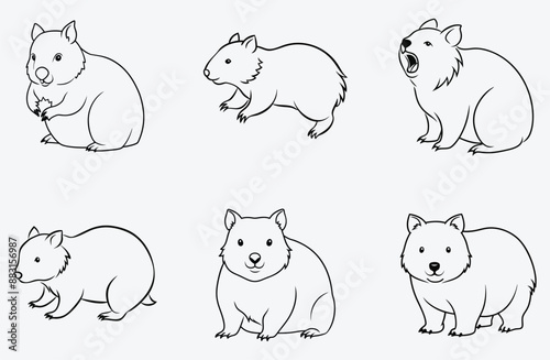 Title for the Wombat Line Art Set, Majestic Wombat Illustrations Collection