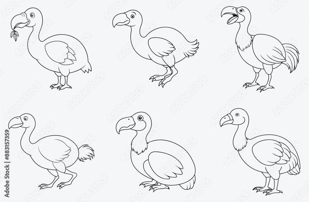 Obraz premium Majestic Dodo Line Art Collection