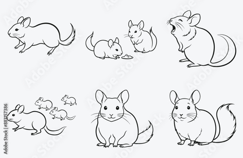 Ultimate Chinchillas Line Art Collection, The Best and Biggest Compilation