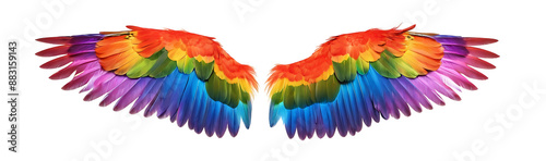  A pair of vibrant, rainbow-colored wings outstretched against a white background. Perfect for symbolizing freedom, diversity, or hope.