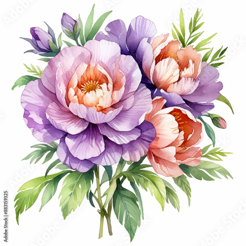 Hand drawn carnation flower isolated