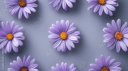 set of daisies