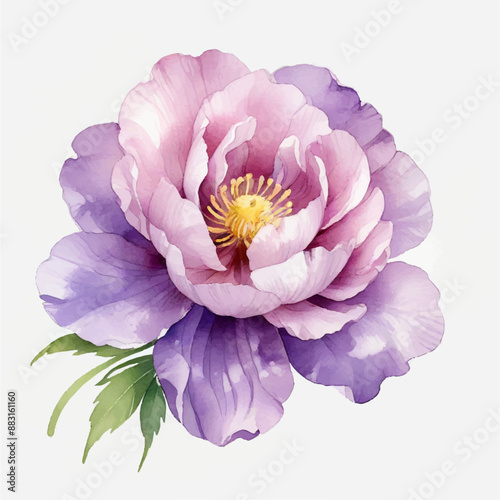 Watercolor bouquet flowers watercolor on white background,  bouquet flowers watercolor