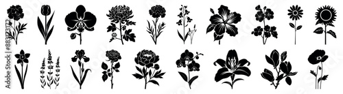 Hand drawn grunge floral vector collection. Decorative leaves sketch hatched set black vector, laser cutting, engraving, print, woodcut linocut. Abstract black brush silhouettes with simple ink blooms
