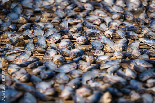 a close-up of dried salted fish. photo