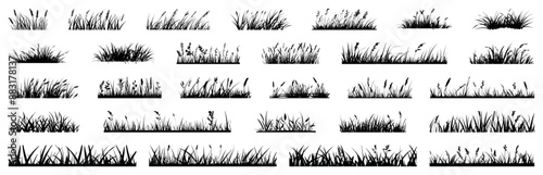 Silhouette grass with spikelet collection. Set of hand drawn beach grass line cad. Illustration for elevation architectural element, side view, grass section. Turf coating banners for edging photo