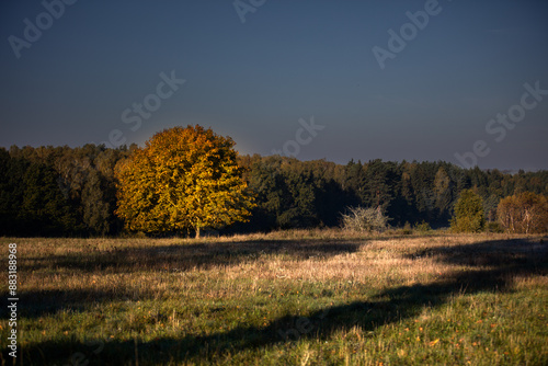 Fototapeta Naklejka Na Ścianę i Meble -  Jesienny poranek
