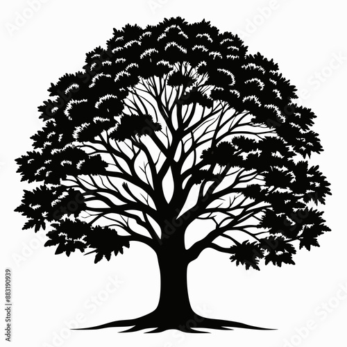silhouette of tree