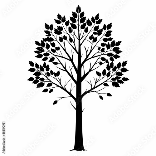 silhouette of tree
